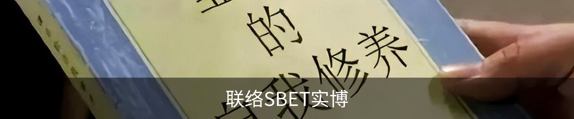 联络SBET实博
