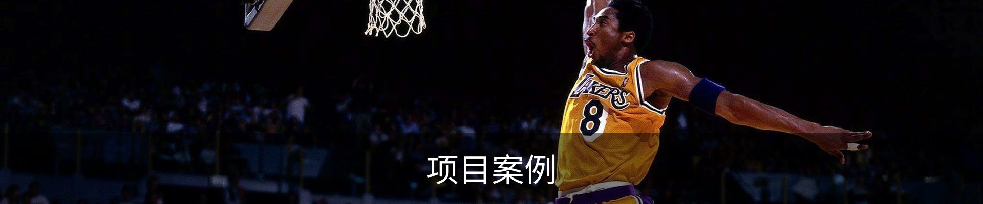 项目案例